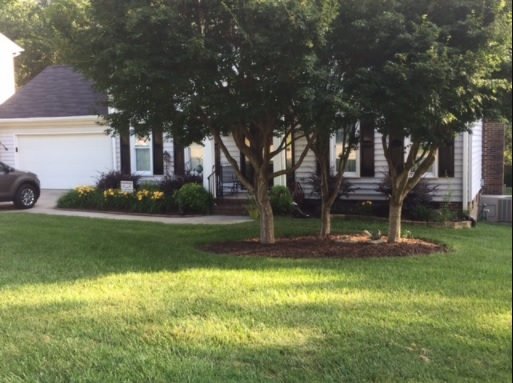 2017 June 607 Spring Meadow Way